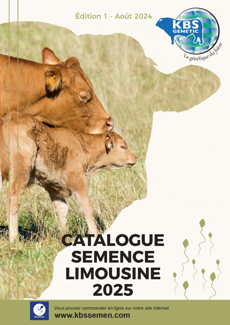 CATALOGUE SEMENCE