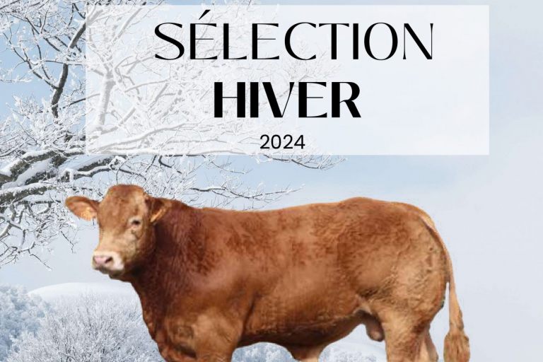 SELECTION KARMIN 2024