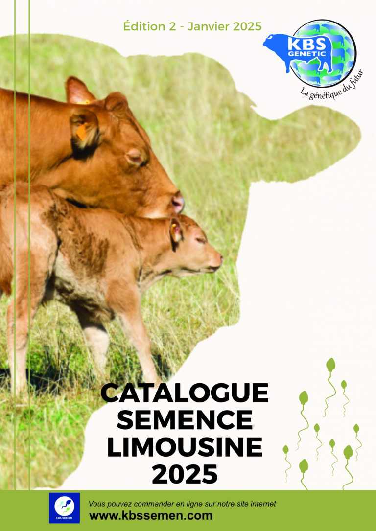 CATALOGUE SEMENCE